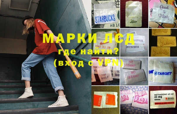 шишки Михайлов