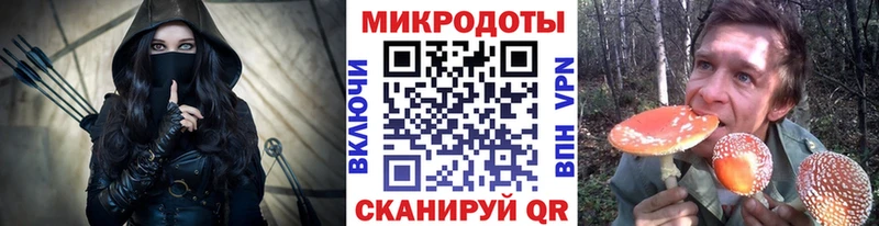 купить наркоту  Курчалой  Псилоцибиновые грибы GOLDEN TEACHER 
