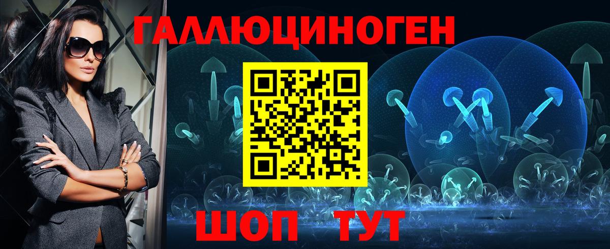 продажа наркотиков  Курчалой  Галлюциногенные грибы Psilocybe 