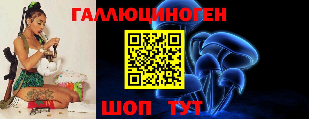 Курчалой  Псилоцибиновые грибы Magic Shrooms  Вход с VPN 